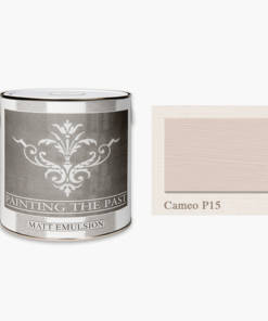 Cameo P15 - Painting the Past