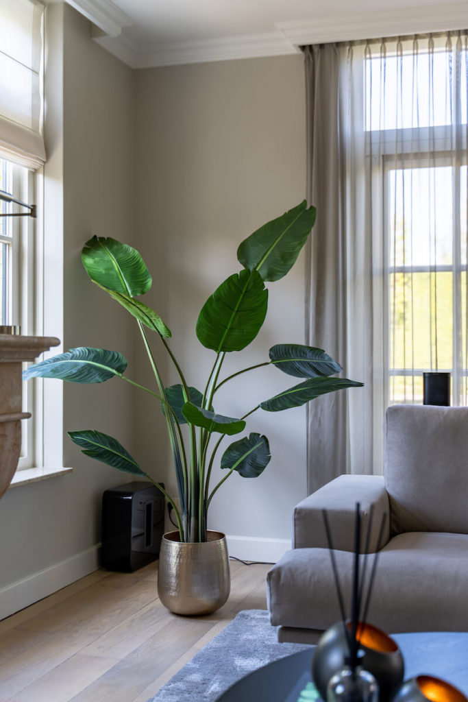 Gouden pot en silkka plant