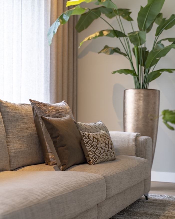 Beige bank met mix van sierkussens, achter grote kamerplant in luxe gouden pot